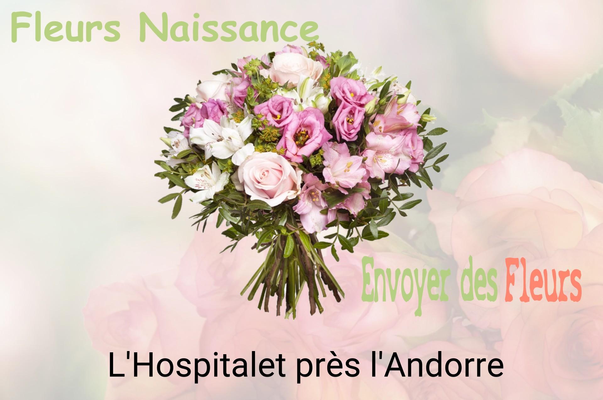 Bouquet de fleurs de naissance livré à L'Hospitalet-près-l'Andorre